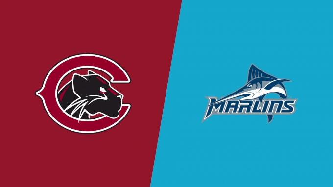 Team Matchup Image Service.