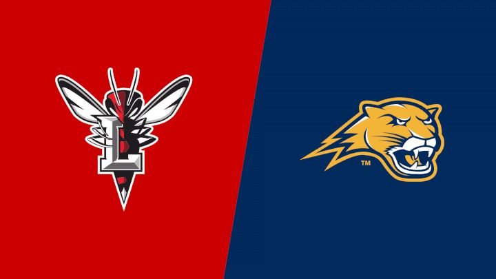 2026 Lynchburg vs Averett - Women's