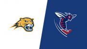 2026 Averett vs Shenandoah University - Women's