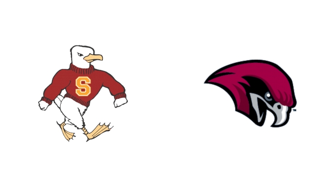 Team Matchup Image Service.