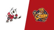 2026 Niagara IceDogs vs Erie Otters