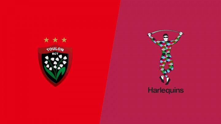 Harlequin F.C. vs Toulon
