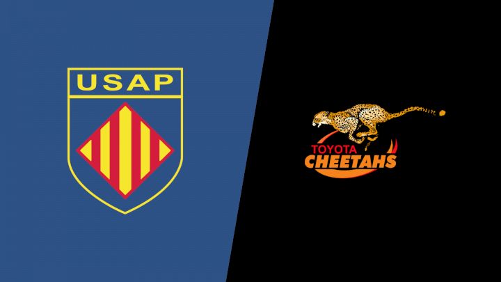 Cheetahs vs Perpignan