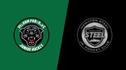 2026 Pelham Panthers vs Hamilton Steel