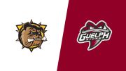 2026 Brantford Bulldogs vs Guelph Storm