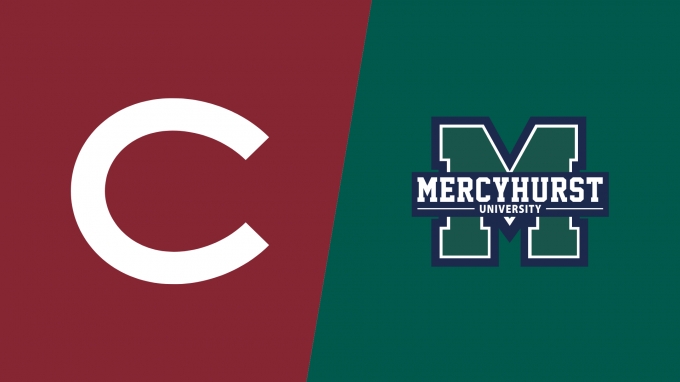 Team Matchup Image Service.