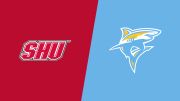 Replay: Home - 2026 Sacred Heart vs Long Island | Oct 17 @ 7 PM