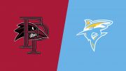 How to Watch: 2027 Franklin Pierce vs Long Island University - Women's Hockey | Hockey