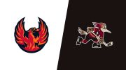 2026 Coachella Valley Firebirds vs Tucson Roadrunners
