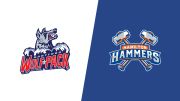 2026 Hartford Wolf Pack vs Hamilton Hammers