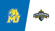 How to Watch: 2026 Misericordia vs Lycoming - Swimming
