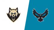 2026 Oshawa Firewolves vs Rochester Knighthawks