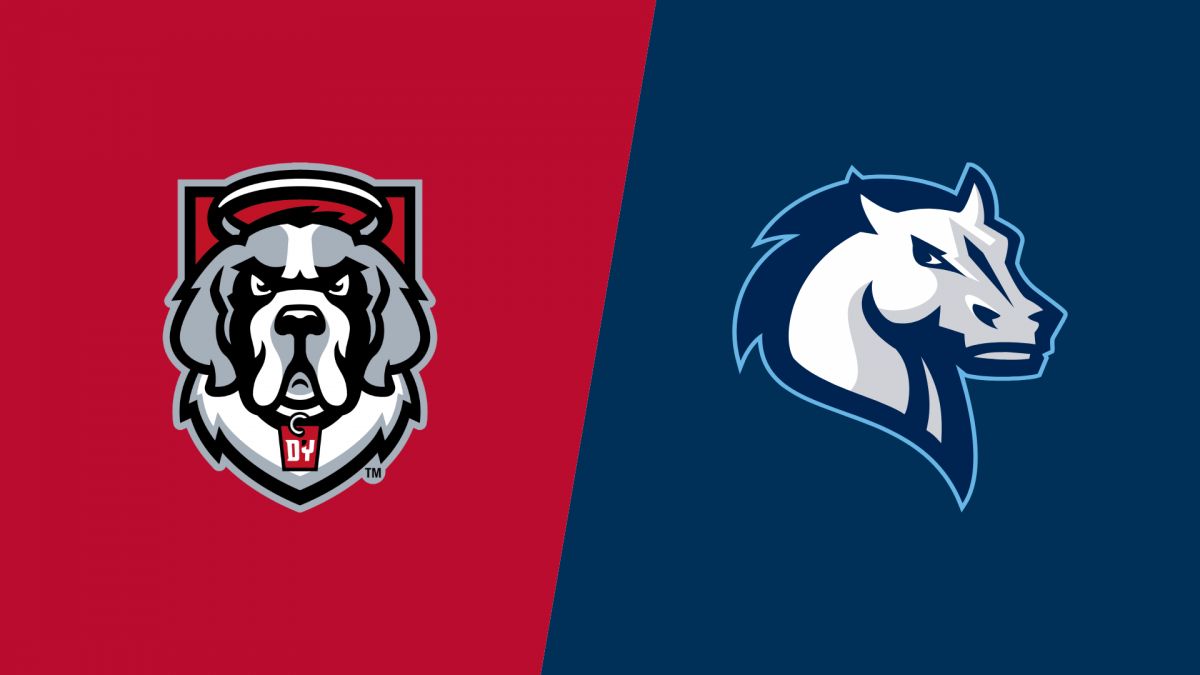 How to Watch: 2027 D'Youville vs Mercy - Men's | Men's Basketball