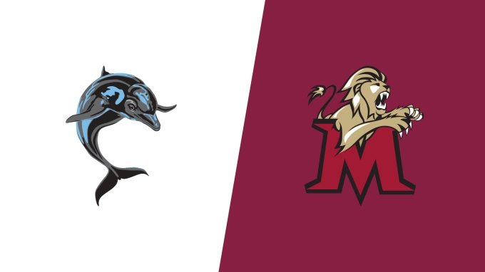 Team Matchup Image Service.