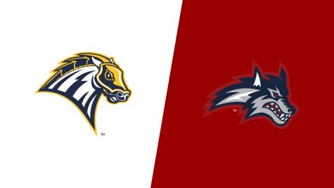 2026 New Haven vs Stony Brook - Men's