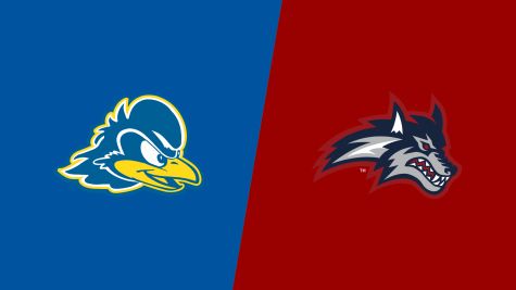 2026 Delaware vs Stony Brook - Women's