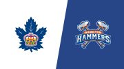 2026 Toronto Marlies vs Hamilton Hammers