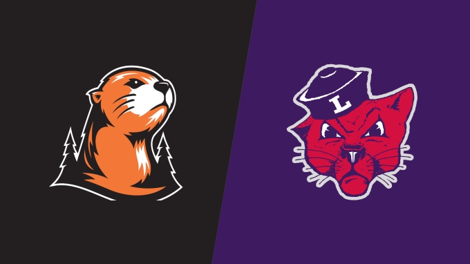 Team Matchup Image Service.