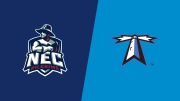 2026 New England College vs UMass-Boston - Women's
