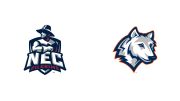 2026 New England College vs WestConn - Men's