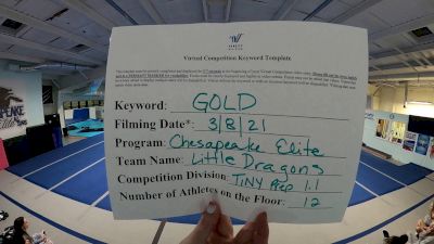 Chesapeake Elite [L1.1 Tiny - PREP] 2021 Varsity Virtual Competition Series - Prep & Novice I