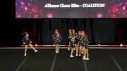 Alliance Cheer Elite - COALITION [2019 L1 Small Youth Semis] 2019 The D2 Summit