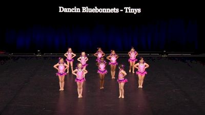 Dancin Bluebonnets - Tinys [2021 Tiny Jazz Semis] 2021 The Dance Summit