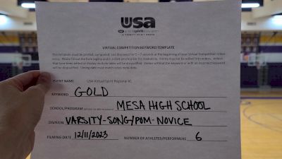 Mesa High School [Varsity - Song/Pom - Novice] 2023 USA Virtual Spirit Regional I