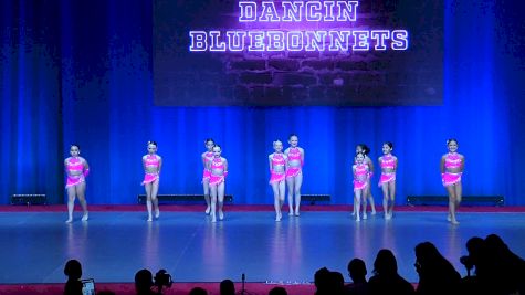 Dancin Bluebonnets [2023 Mini Small - Jazz Day 1] 2023 NDA All-Star Nationals