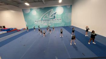 Cheer Sport Sharks - Ancaster - Leopard [CC: L1 - U8] 2022 Varsity All Star Virtual Competition Series: FTP East