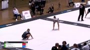 Matheus Diniz vs Pedro Marinho 2019 ADCC World Championships