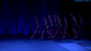 Majestic Dance Team - Majestic Youth Jazz [2019 Small Youth Jazz Finals] 2019 The Summit