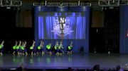 Dance Dynamics Mini Pink [2019 Mini Large Pom Day 1] NDA All-Star National Championship