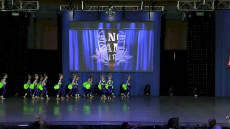 Dance Dynamics Mini Pink [2019 Mini Large Pom Day 1] NDA All-Star National Championship