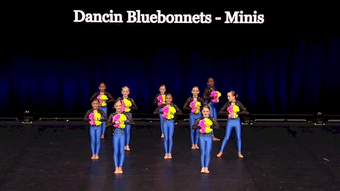 Dancin Bluebonnets Minis 21 Mini Pom Small Semis 21 The Dance Summit